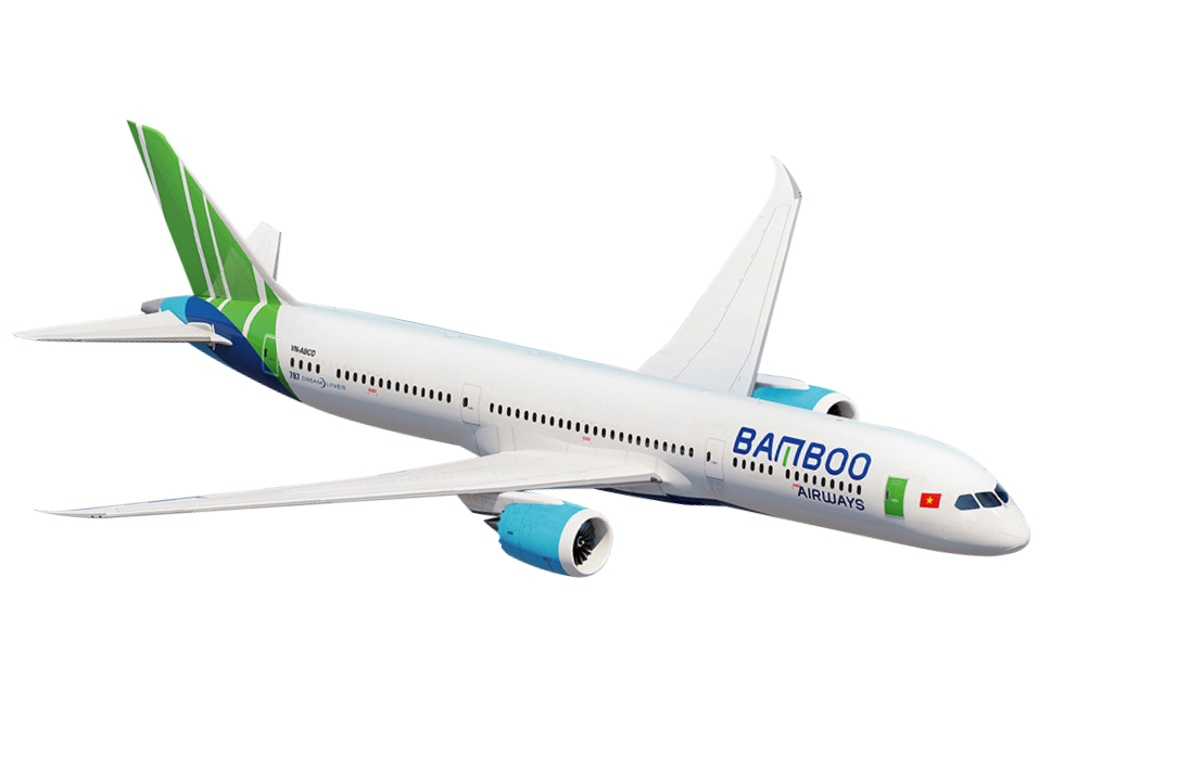 항공기 BAV Korea Bamboo Airways